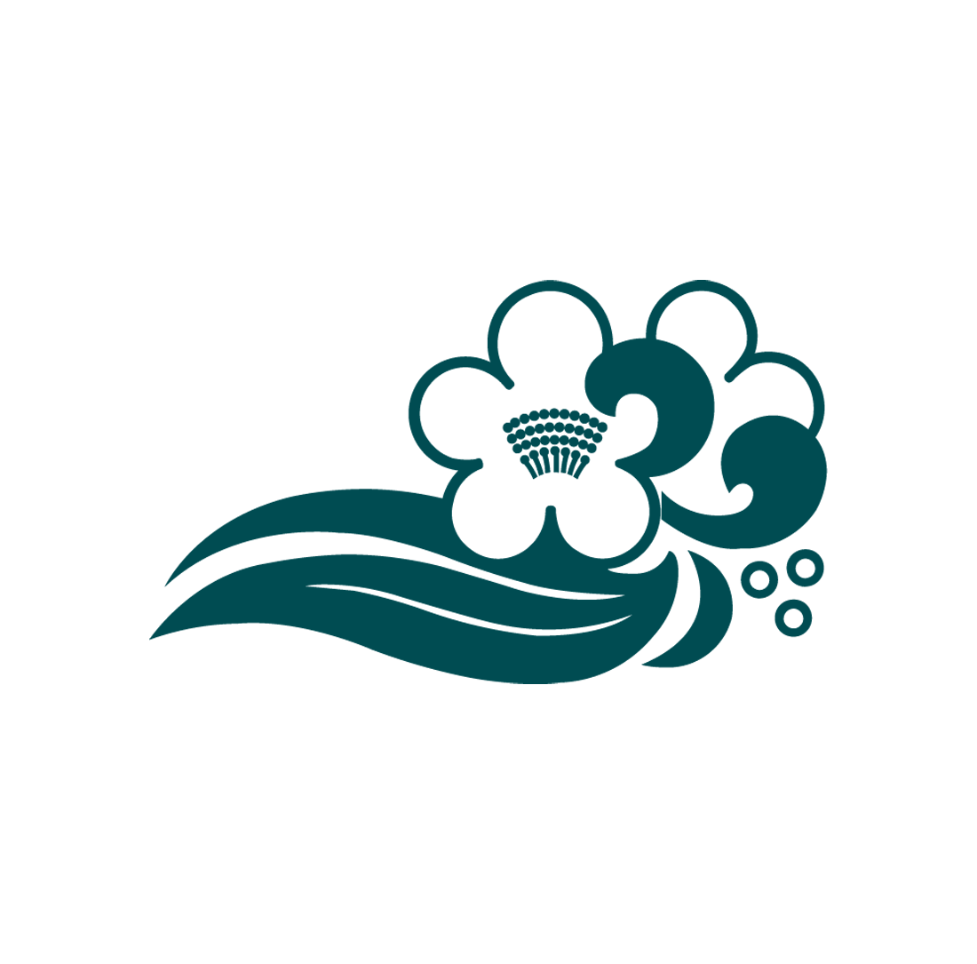 Kanucha